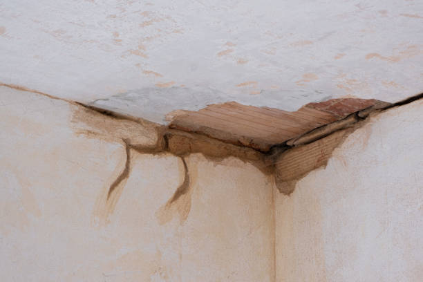 Best Water damage restoration near me  in Sweetwater, TX