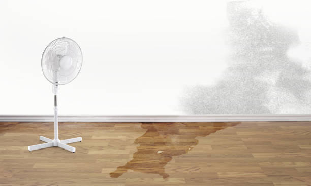 Best Carpet water damage restoration  in Sweetwater, TX