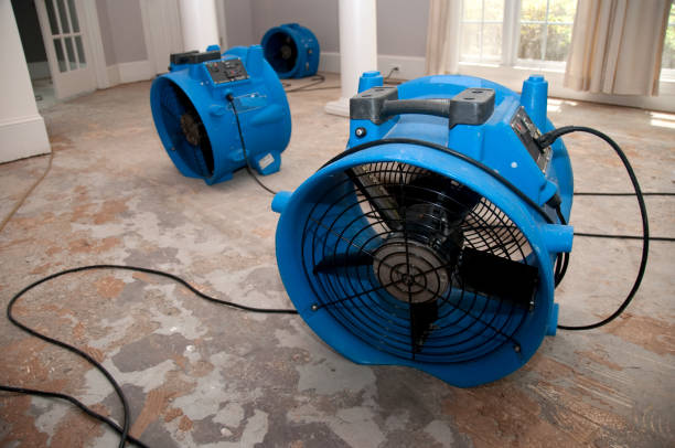 Reliable TX Water damage restoration Solutions